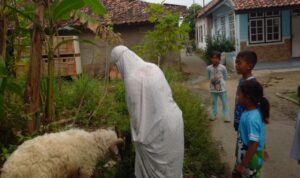 IMG-20260529-WA0017